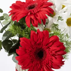 Papatya ve gerbera - samimi dostluk